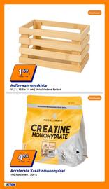 Action Flugblatt woche 34 Seite 17