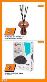 Action Flugblatt woche 34 Seite 23