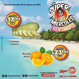 Catálogo Super Aki Página 4