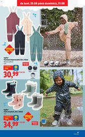 Catalog Lidl săptămâna 35 Pagină 31