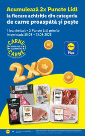 Catalog Lidl săptămâna 35 Pagină 40