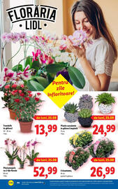 Catalog Lidl săptămâna 35 Pagină 44