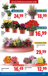 Catalog Lidl săptămâna 35 Pagină 45