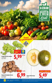 Catalog Lidl săptămâna 35 Pagină 48