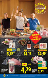 Catalog Lidl săptămâna 35 Pagină 8