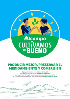 Folleto Alcampo