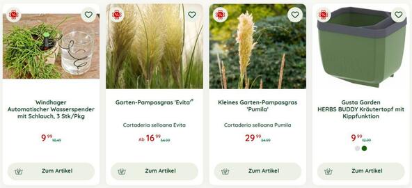 Bellaflora Flugblatt woche 34 Seite 1