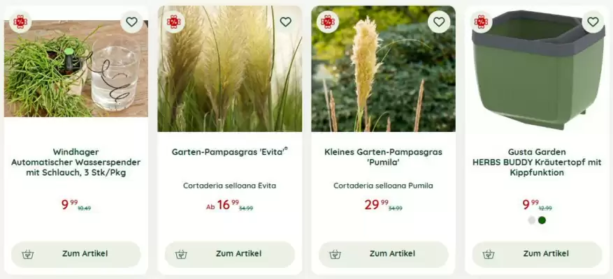Bellaflora Flugblatt (gültig bis 24-08)
