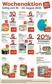 ZOO & Co Flugblatt woche 34 Seite 1