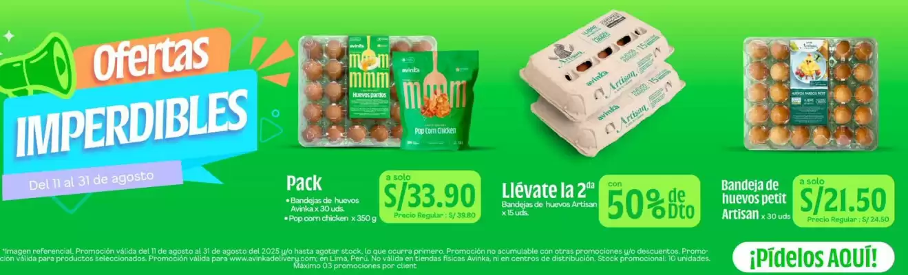 Catálogo Avinka (válido hasta 31-08)