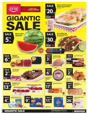 Co-op flyer