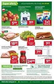 Stokrotka Market gazetka tydzień 34 Strona 31