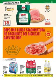 Volantino Rossotono Carrefour Pagina 16