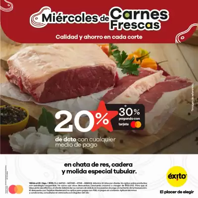 Catálogo Éxito