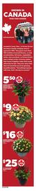 Loblaws flyer week 34 Page 10