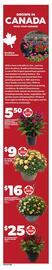 Independent Grocer flyer week 34 Page 10