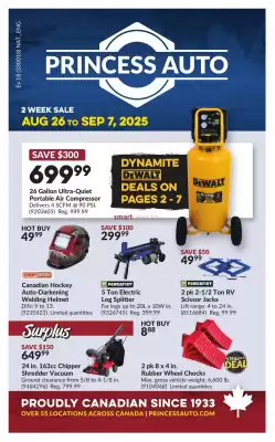 Princess Auto flyer