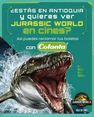flyer-cover