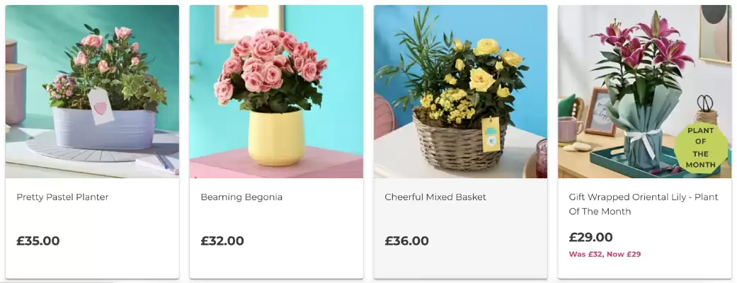 Flying Flowers leaflet (valid until 26-08)