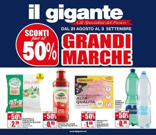 Volantino Il Gigante Pagina 1