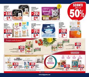 Volantino Il Gigante Pagina 21