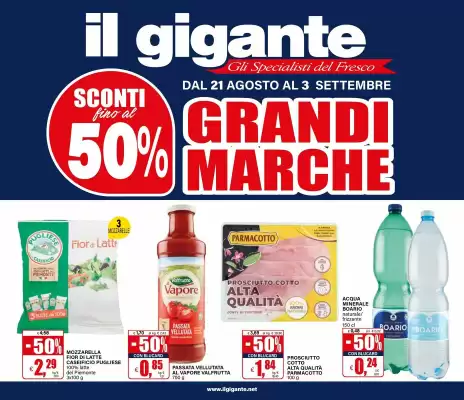 Volantino Il Gigante