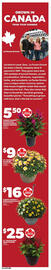Loblaws flyer week 34 Page 10