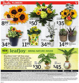 Loblaws flyer week 34 Page 9