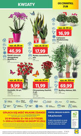 Lidl gazetka Strona 49