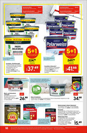 Hellweg Flugblatt woche 34 Seite 10