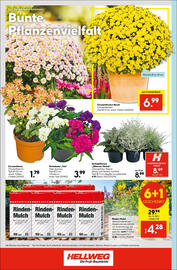 Hellweg Flugblatt woche 34 Seite 16
