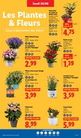 Catalogue Lidl semaine 35 page 27