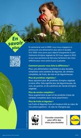 Catalogue Lidl semaine 35 page 29