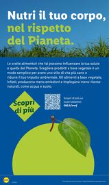Volantino Lidl settimana 35 Pagina 28