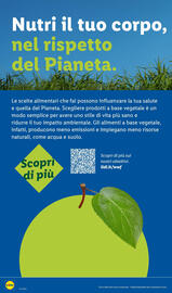 Volantino Lidl settimana 35 Pagina 28