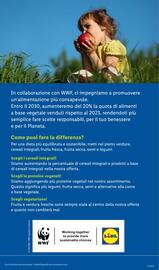 Volantino Lidl settimana 35 Pagina 29