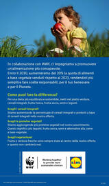 Volantino Lidl settimana 35 Pagina 29
