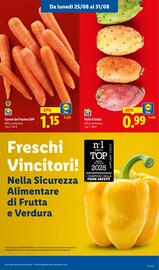Volantino Lidl settimana 35 Pagina 3
