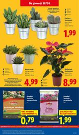 Volantino Lidl settimana 35 Pagina 37