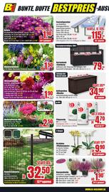 B1 Discount Baumarkt Prospekt woche 34 Seite 6