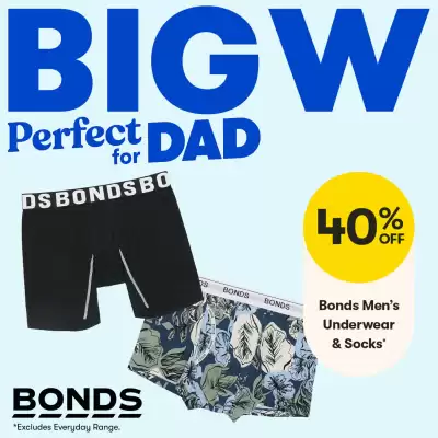 BIG W catalogue (valid until 3-09)