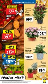 Lidl leták Strana 11