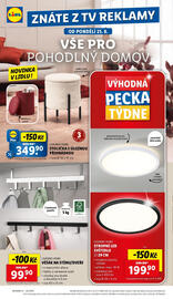 Lidl leták Strana 28