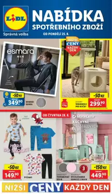 Lidl leták (platné do 31-08)