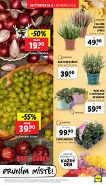 Lidl leták Strana 9