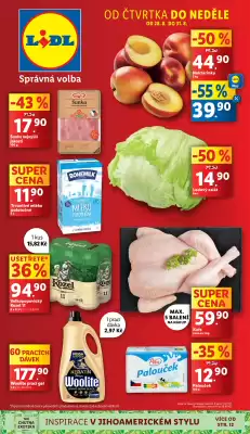 Lidl leták (platné do 31-08)