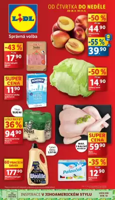 Lidl leták (platné do 31-08)