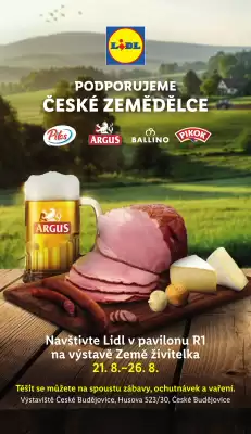 Lidl leták (platné do 26-08)