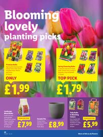 Lidl leaflet week 35 Page 24