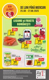 Catalog Mega Image săptămâna 34 Pagină 24